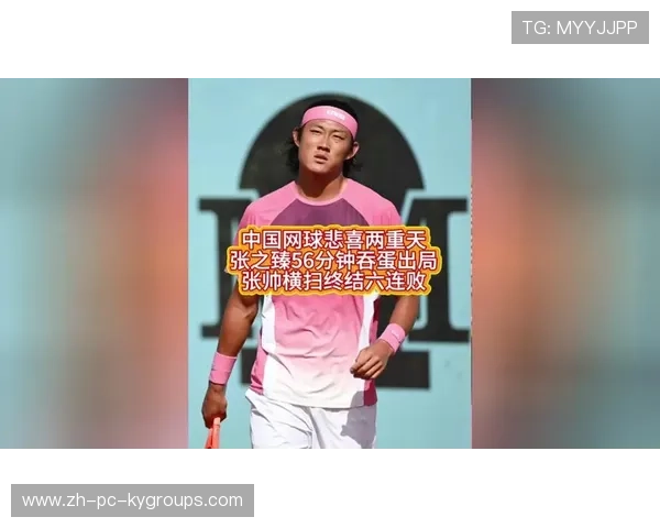 张帅开导张之臻:一个35岁老将的精神传承,张帅子百科